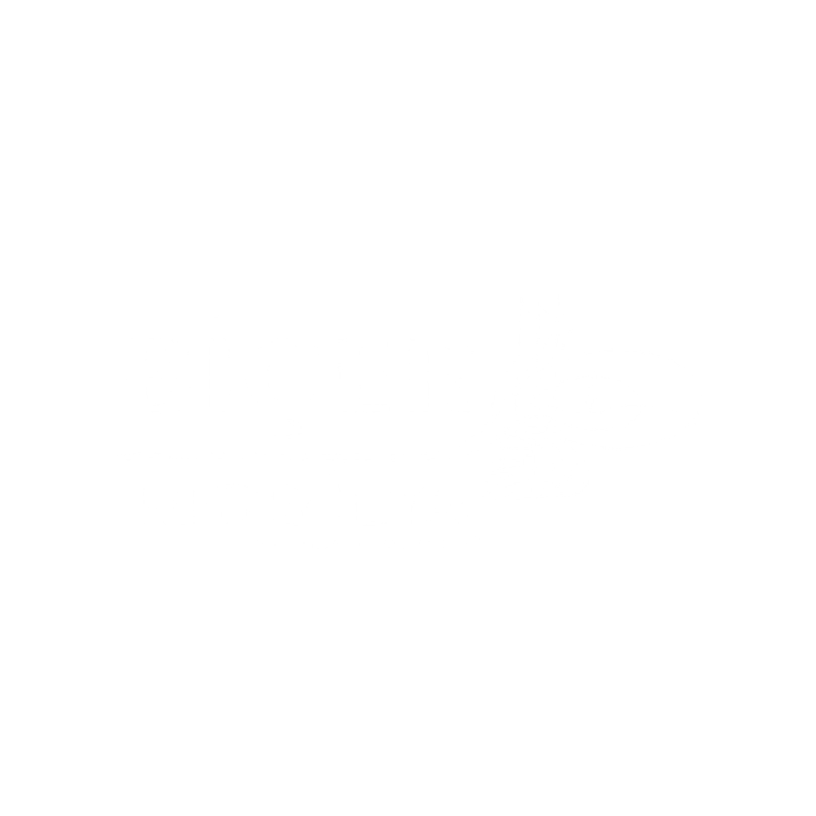Bicer Mobilya